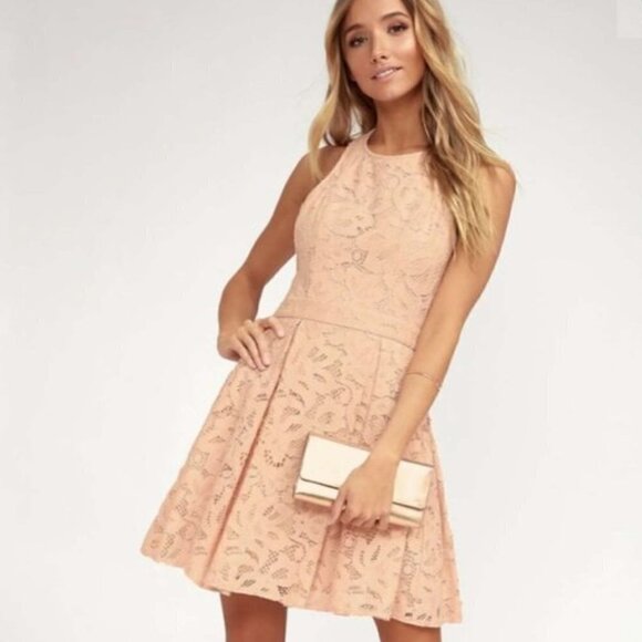 Lulu's Sleeveless Lace Pleated Skater Dress Blush - Picture 1 of 8